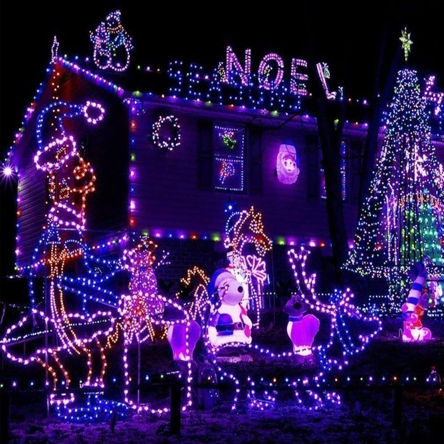 100ft LED Rope Lights Outdoor, 720 LED Connectable and Flexible Tube Lights with 8 Modes, Waterproof LED Rope Lighting for Garden, Patio, Pool, Bedroom, Party, Indoor Outdoor Decoration (Purple)