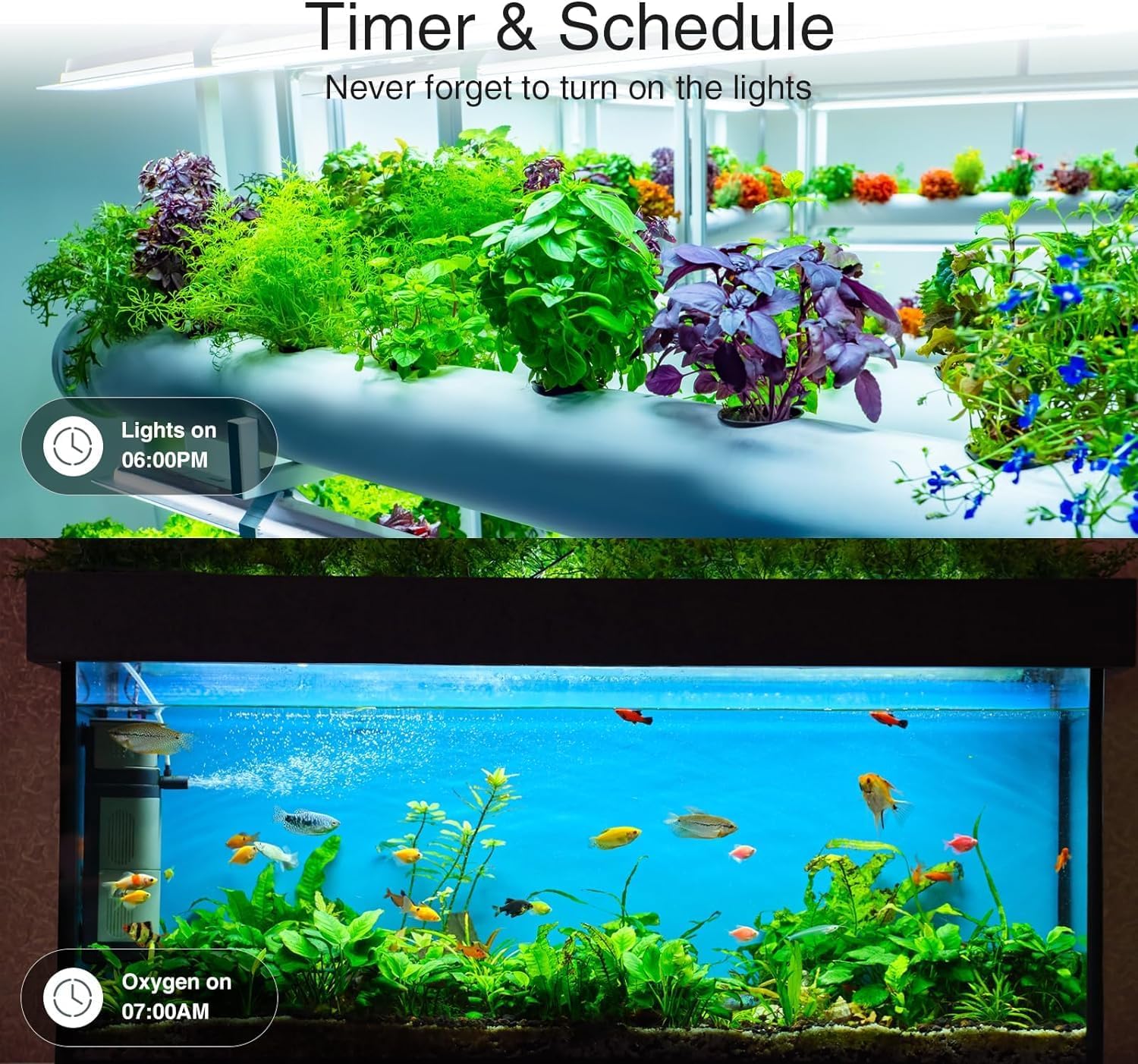 XENON ZigBee Smart Power Strip Surge Protector,Smart Fast Charge - image 5